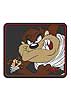 24234 UNIVERSAL REAR MAT_TAZ