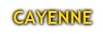 CAYENNE 955